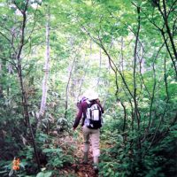 丸山保博のコラム｜素材の本質の中に