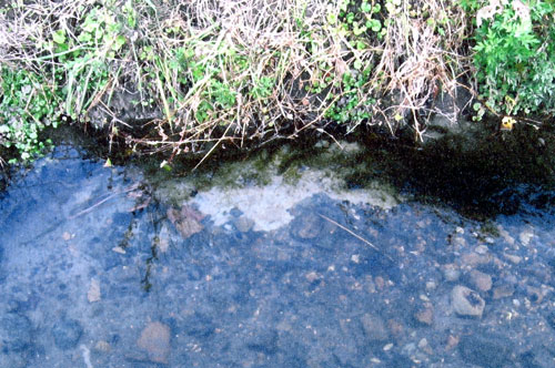 素材の無償性、浅葱土 ― 自然との連続性 ―