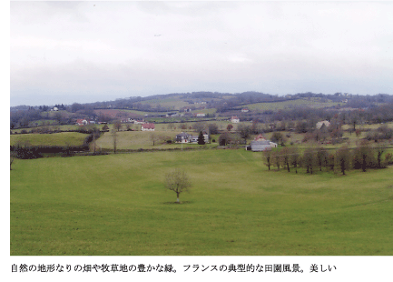 自然の地形なりの畑や牧草地の豊かな緑。フランスの典型的な田舎風景。美しい