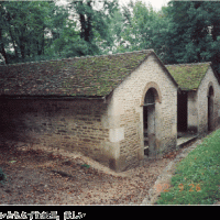 丸山保博のコラム｜ロマネスクの旅