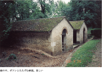 丸山保博のコラム|ロマネスクの旅