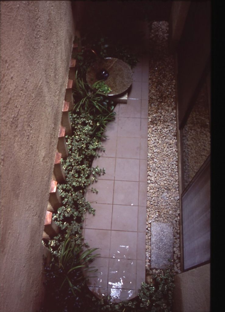 パラシオデヒロ3