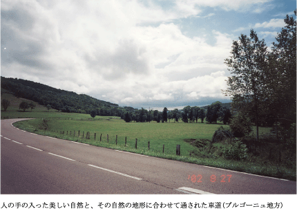 丸山保博のコラム|ロマネスクの旅