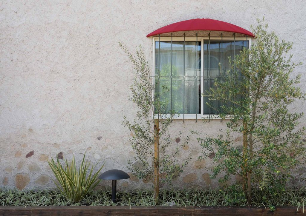 2019-1691_2Ls-1024x724